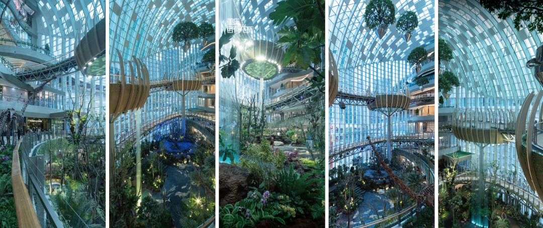 香港置地光环系列,光环创业时间