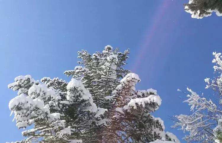 2019年延边州旅游,延边州春节期间活动