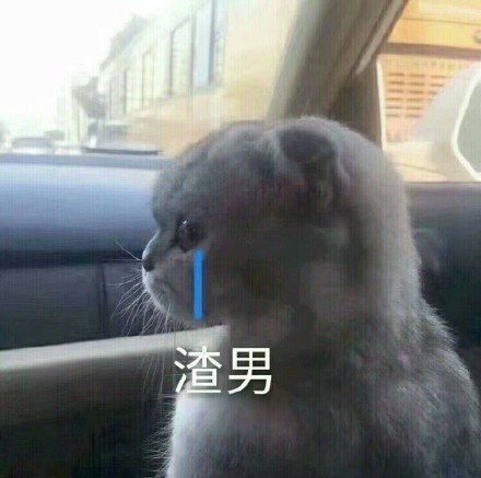 聊天表情包图片大全微信自取,谢谢感谢的表情包可爱动图