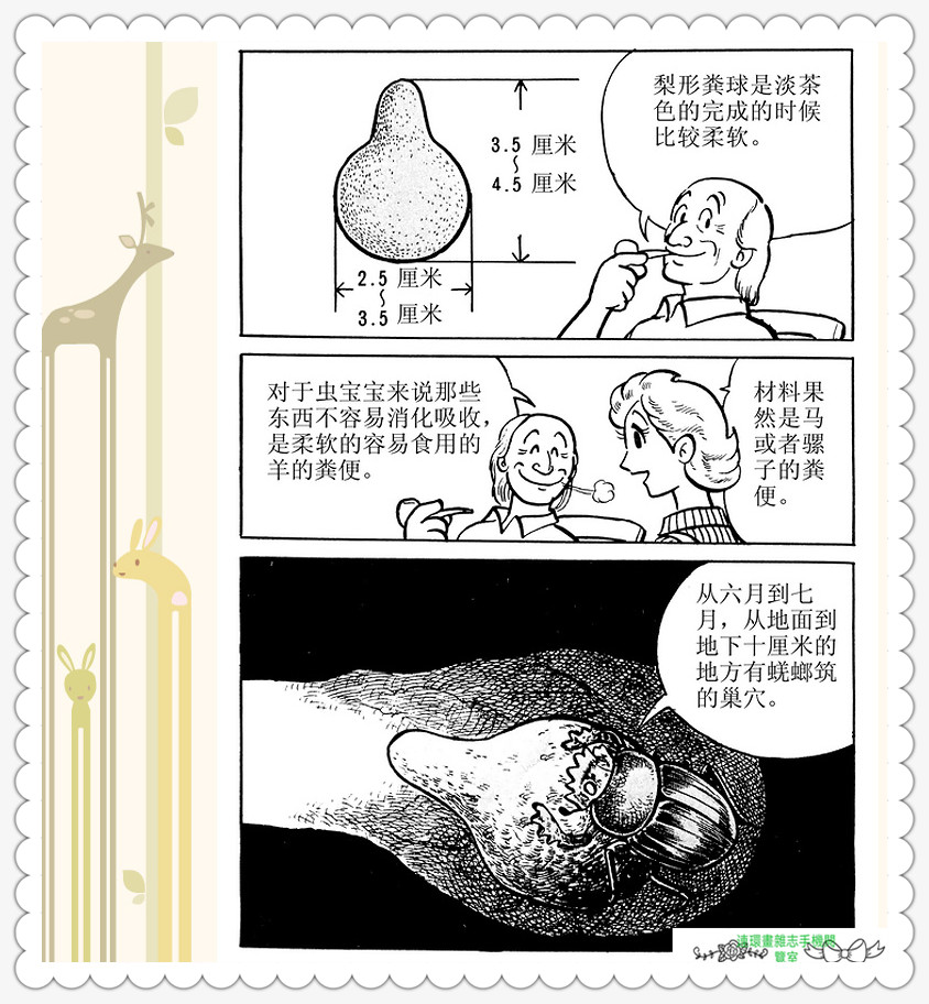 昆虫记法布尔正版全集,昆虫记法布尔阅读答案