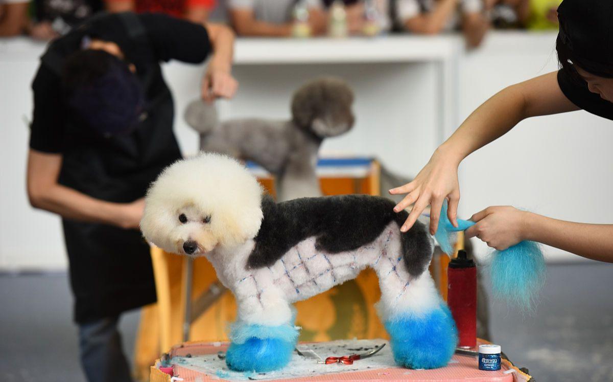 现在年轻人创业适合做什么项目,未来适合普通人创业的小项目