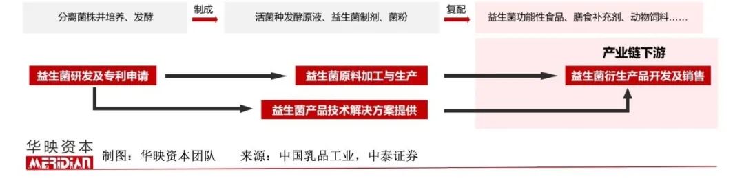 养乐多市场规模,养乐多的目标消费者