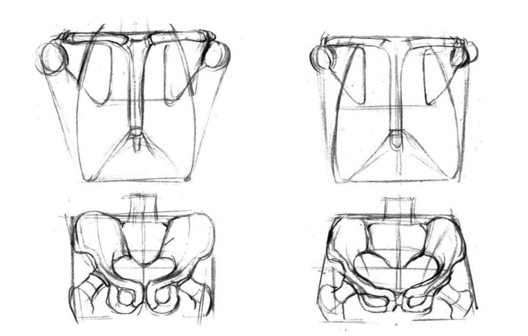 人体板绘入门基础知识,新手板绘自学入门教程