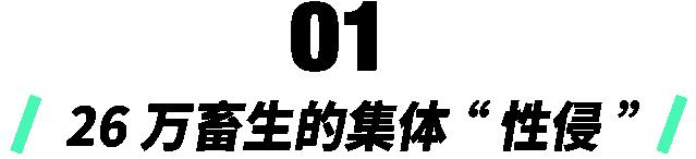 韩国n号房杀人犯,韩国第九房间杀人事件