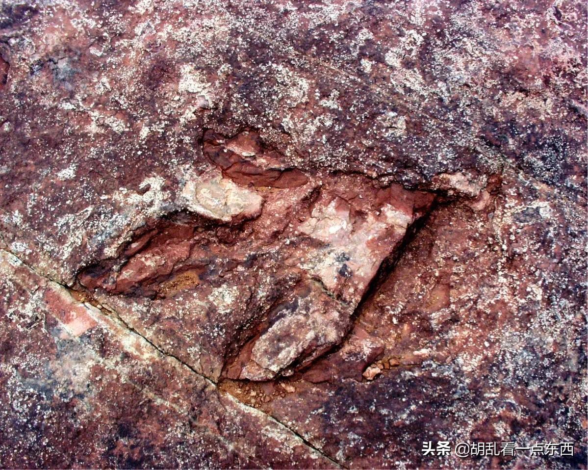 探访恐龙遗迹追寻恐龙,美国一公园发现恐龙世界恐龙足迹