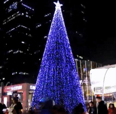 香港圣诞打卡地,圣诞节香港必打卡的地方