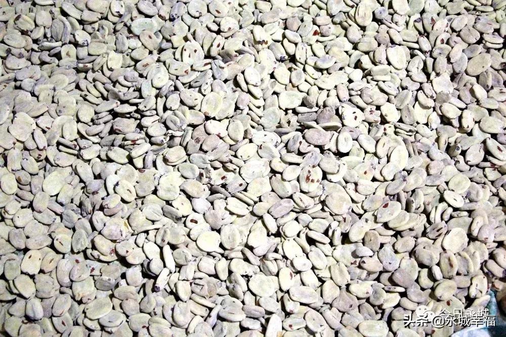 记住乡愁的记忆,永城丰庄枣干多少钱一斤