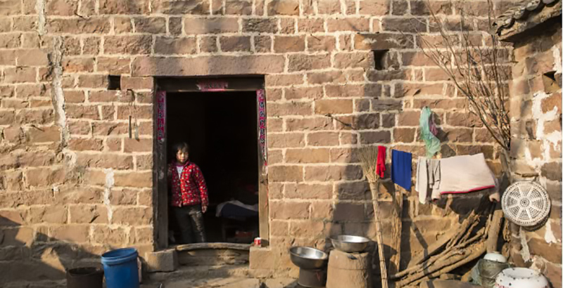 创业养鹅投资700万,年轻的回乡创业者养鹅