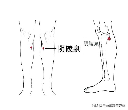 如何调理脾湿热,调理脾胃湿热的处方
