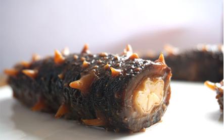 颜颐坊,加拿大海参哪种好