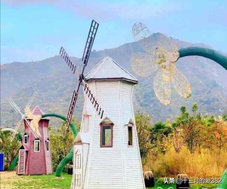 品子午樱桃，游千年古镇