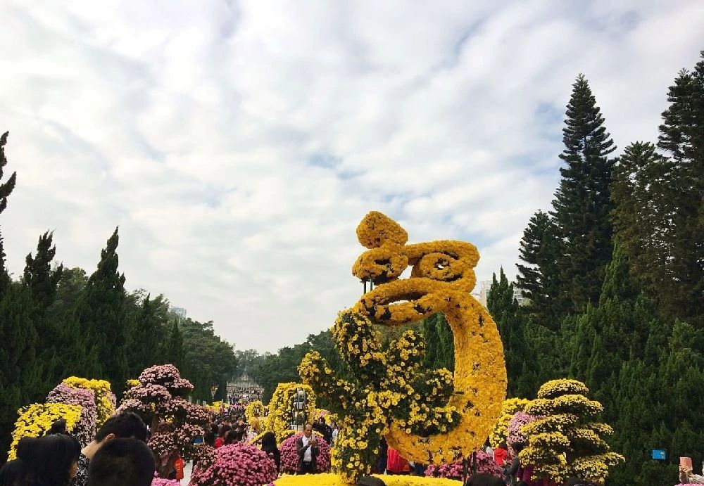 精彩继续！12月广东畅游指南，为你的2018划上圆满句点