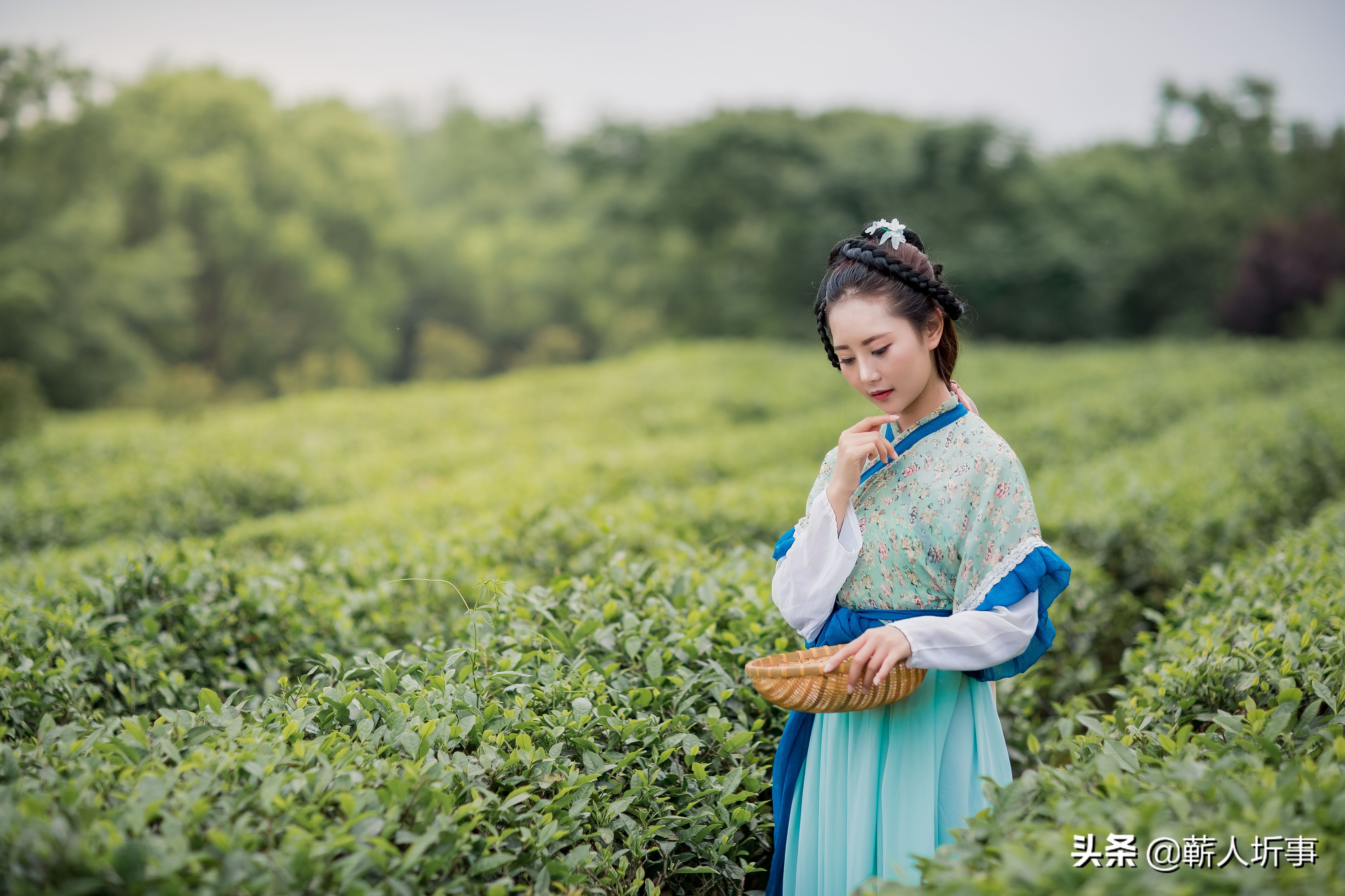 陈如诗词丨卷叶秋风瘦,吹开月上黄