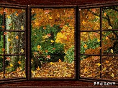 梧桐《喝火令》18首：香起白裙飘逸，邀请对下句？