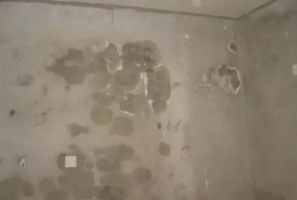 家里墙发霉，别听补漏“忽悠”花冤枉钱，教你一个新方法轻松除霉