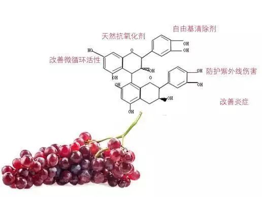 虾青素公认最好的抗氧化,抗氧化的食物含有花青素虾青素吗