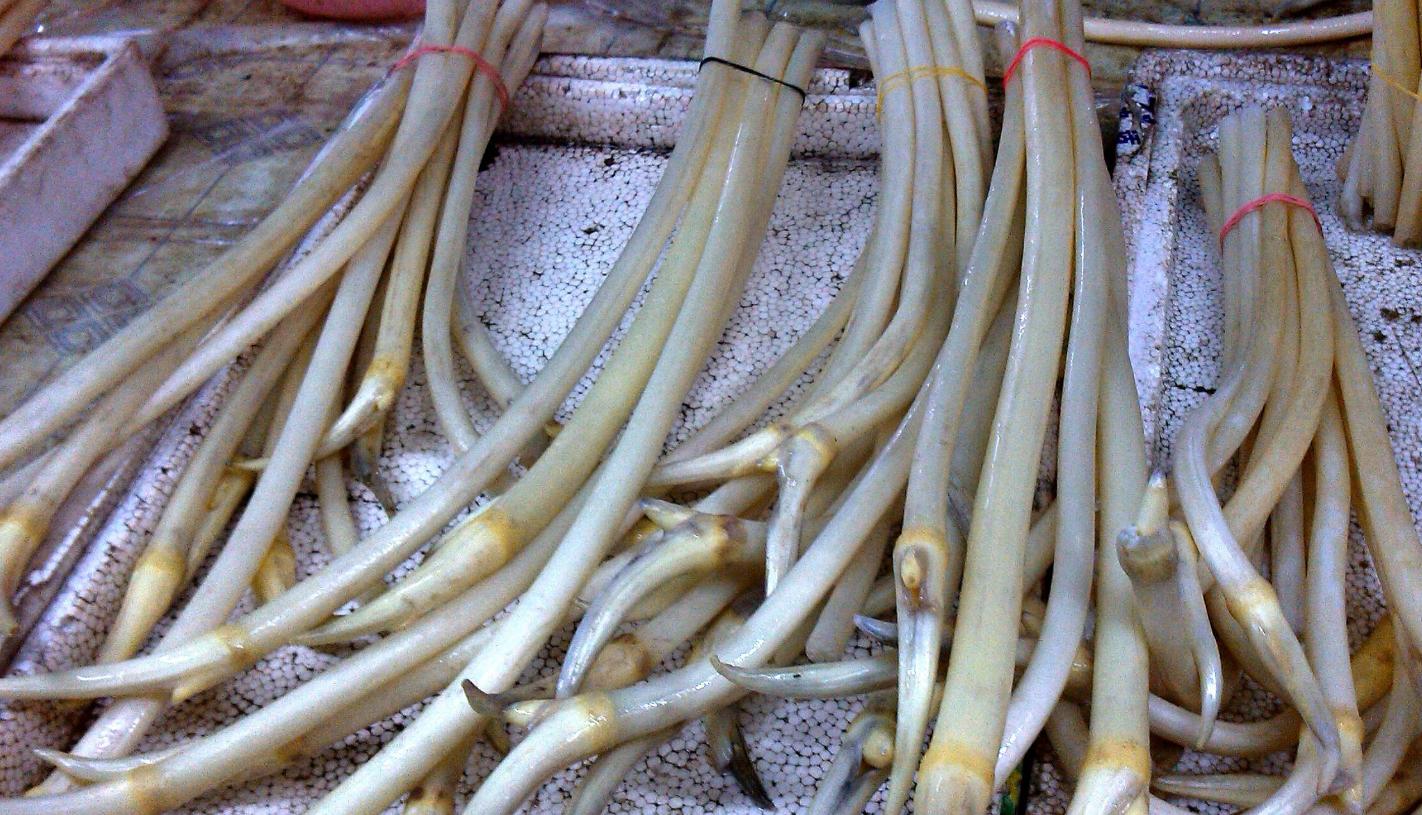 藕带又嫩又好吃,藕带有点老怎么做好吃