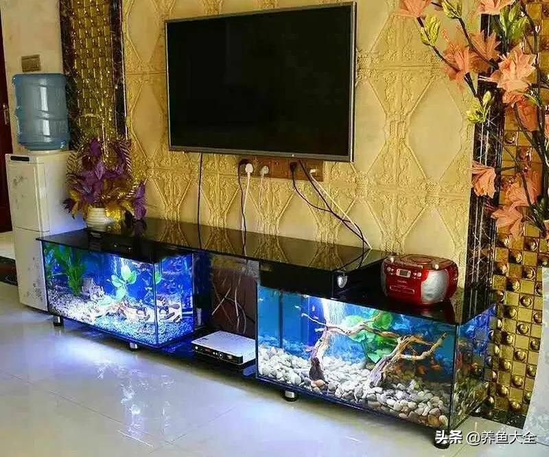 养鱼的鱼缸家里没有怎么办,养鱼没地方放鱼缸