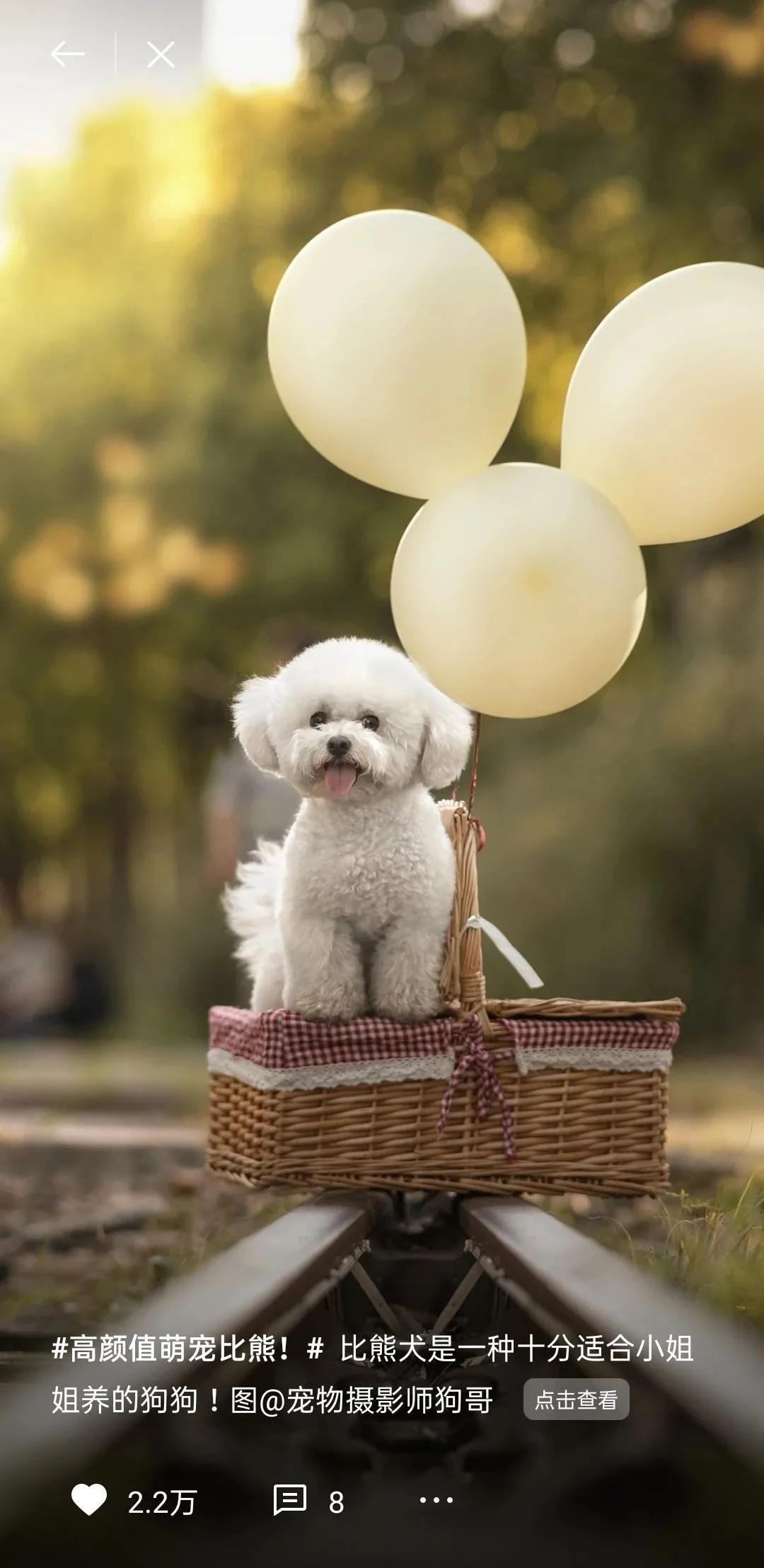 锁屏供稿精选丨大佬，您的作品上线了