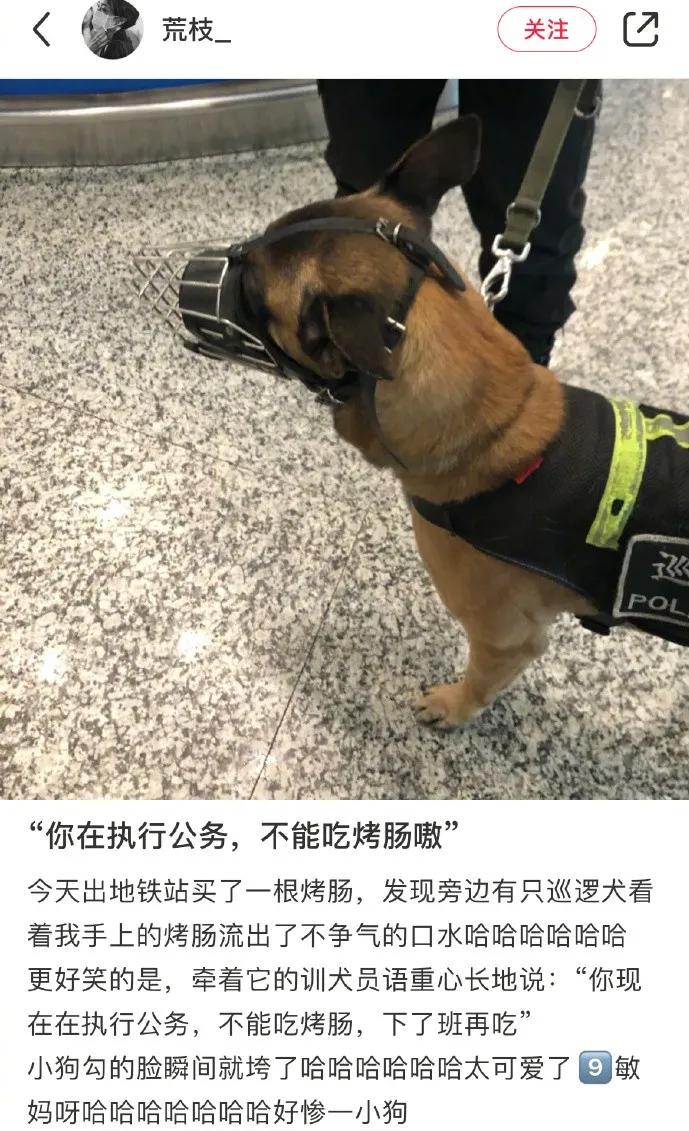 不小心把鞋子弄丢了怎么办,上学鞋丢了咋办