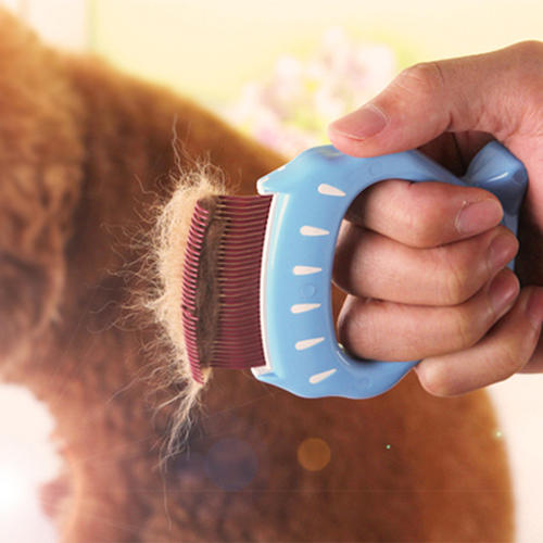 铲屎官该如何“拯救”猫咪乱尿,猫咪铲屎官的正确方法