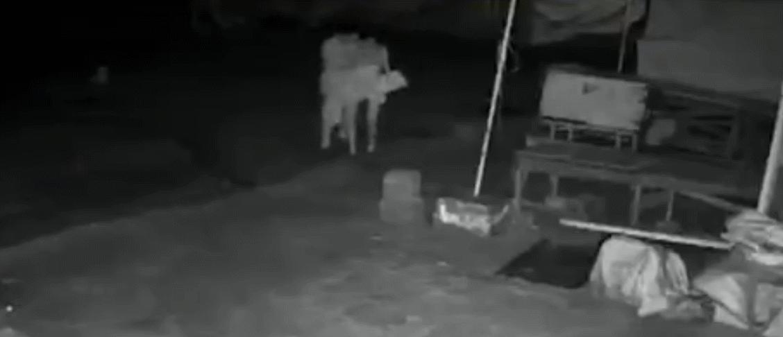 夜色狂魔，女孩子要懂得保护自己，时刻警惕独自在外一定要当心