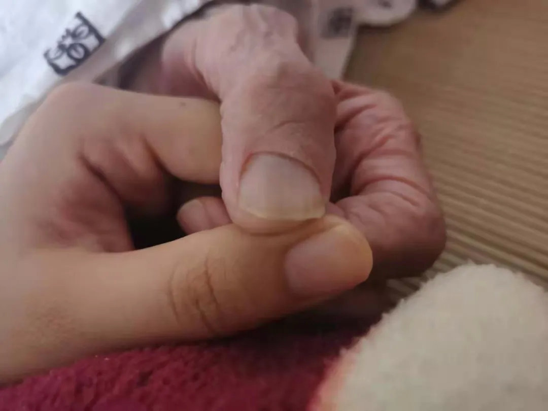 我不想让那杯茶凉下来