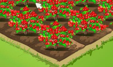 背单词词根词缀方法,词根背单词从哪里开始