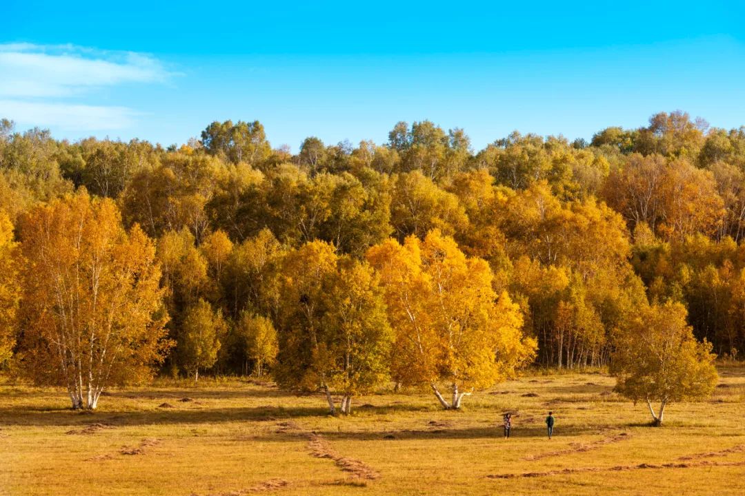 北疆大环线自驾游路线推荐,北疆大环线15天自驾游攻略