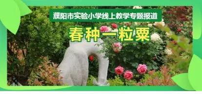 幼儿春种一粒粟教学,二年级春种一粒粟作业