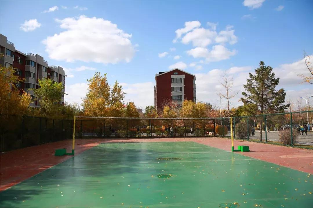 辽宁中医药大学杏林学院规模,辽宁中医学院杏林学院的排名