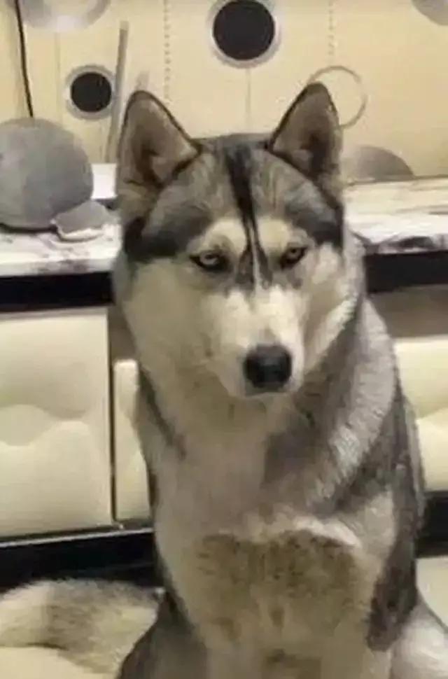 绌剁珶涓瑰嚖鐪艰繕鏄鑺辩溂濂界湅,澶у瑙夊緱涓瑰嚖鐪煎ソ鐪嬭繕鏄鑺辩溂