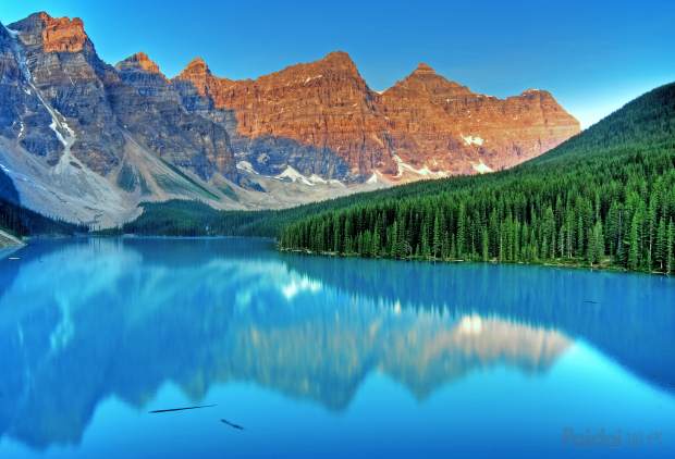 电商人必须思考的10个点,一个电商从业人生自述