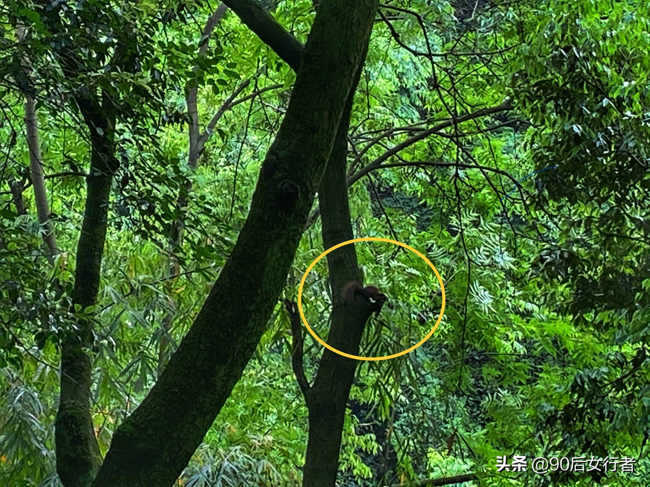 探寻青城山,探秘青城山神仙洞怎么走