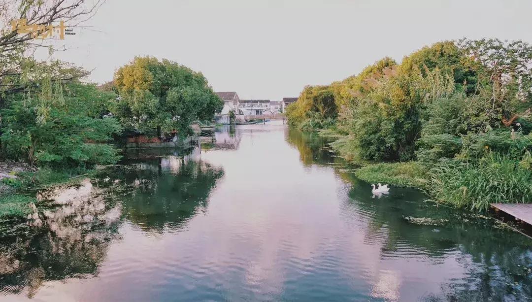 这处距上海1h的这个江南水乡，才是承载都市人田园梦的“理想村”