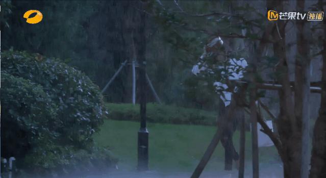 宋茜优雅随性彰显魅力,欣赏宋茜的正确打开方式