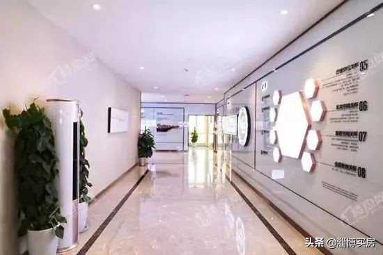 张店最新地块拍卖,淄博张店区中小学划片