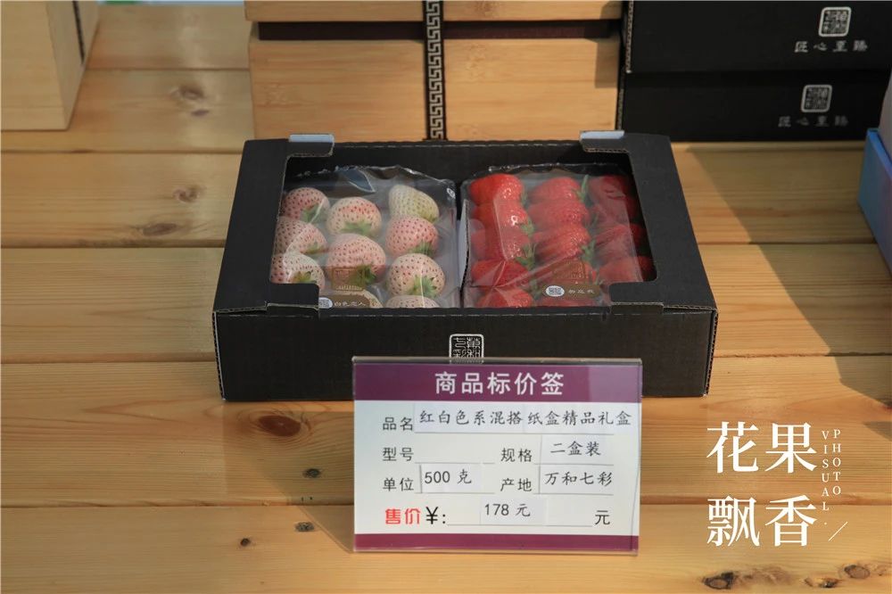 四川种植草莓的成本及利润,一亩大棚草莓的真实利润