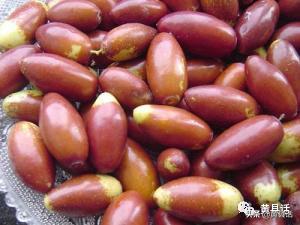 嘎鱼、嘎母鸡、嘎拉、嘎嗒板儿、嘎斯灯，都是些什么东东？