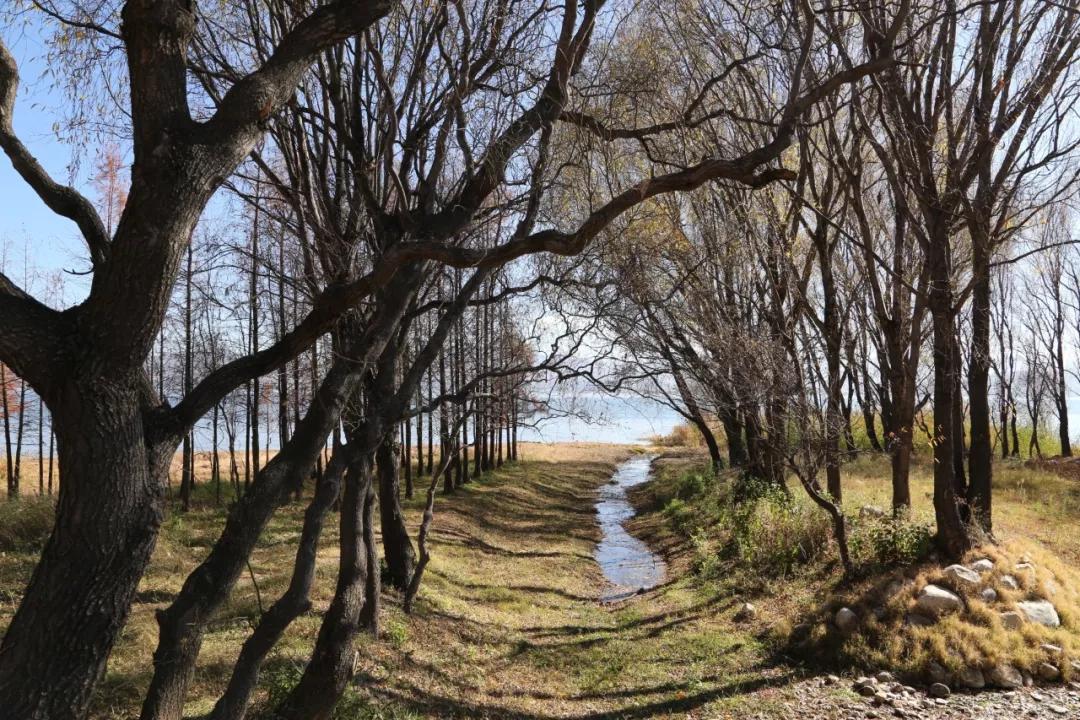 环海西路何时开工,环海路开放时间