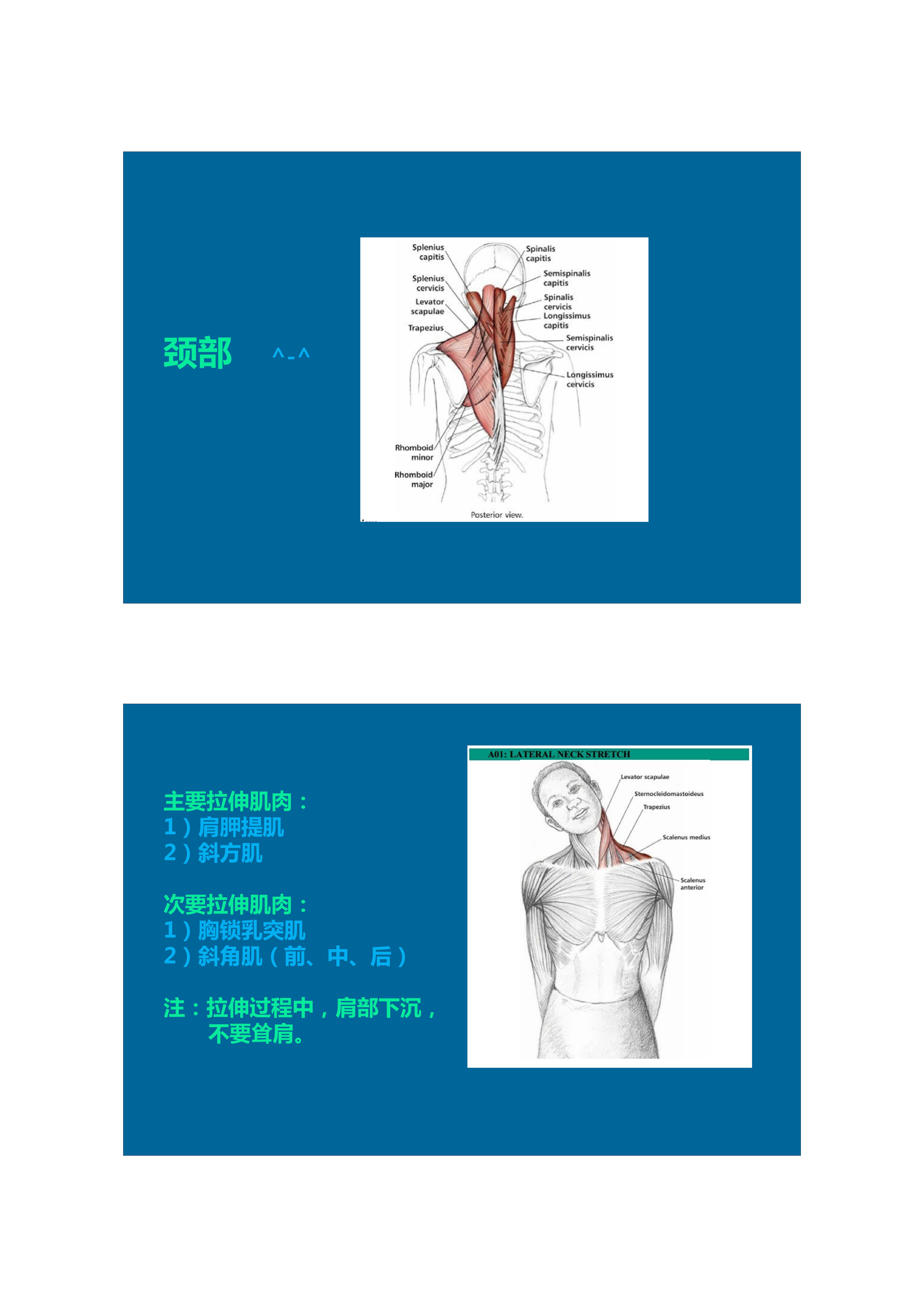 1分钟拉伸动作视频,拉伸腿部技巧