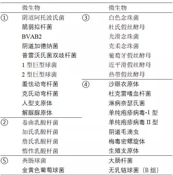 陈超：妇科病原微生物高通量快速检测和精准治疗