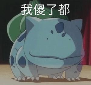 大同猪肉价格多少钱一斤,大同沃尔玛超市猪肉价