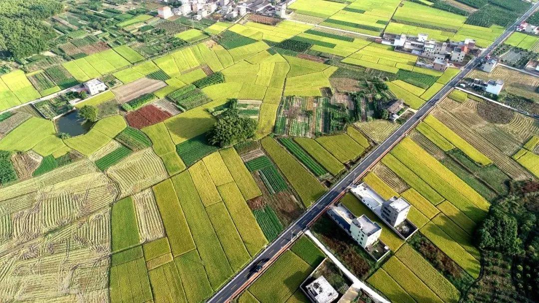 落实习*平近**总书记指示要求·调研记｜城乡融合，再造一个新广东