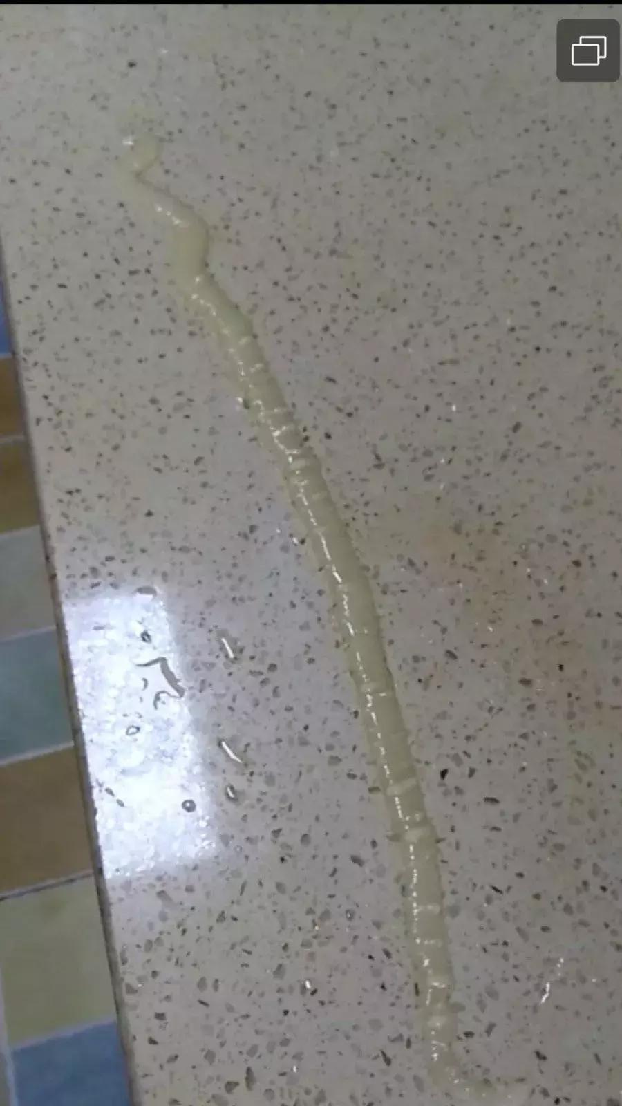 科学大魔王寄生虫,科学大魔王死亡之虫