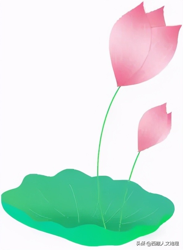 拉萨昼晴夜雨的天气,今天拉萨有没有雨景