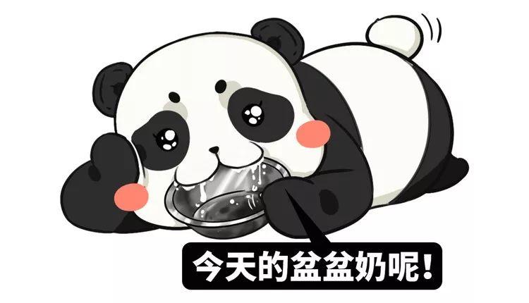 围观中国网红神兽羞羞视频，这是什么特殊爱好？