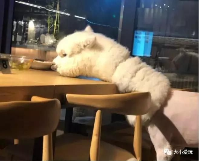 通州副中心哪些地段好,北京通州有山有水遛娃好去处