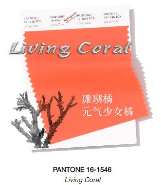 永不过时的绝美神仙口红推荐,推荐一款适合春夏的口红平价