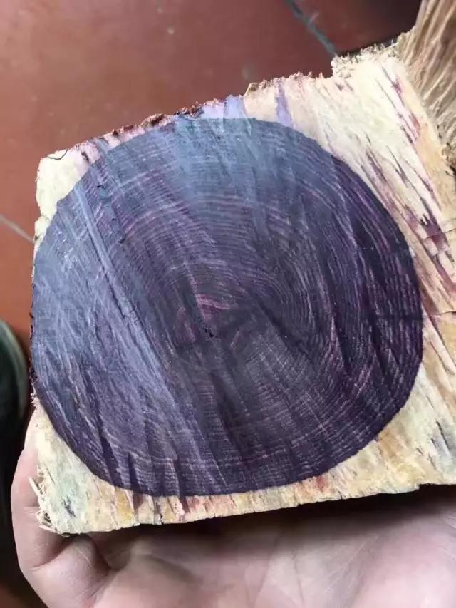 黄檀和黄花梨的区别,买天然正品黄花梨